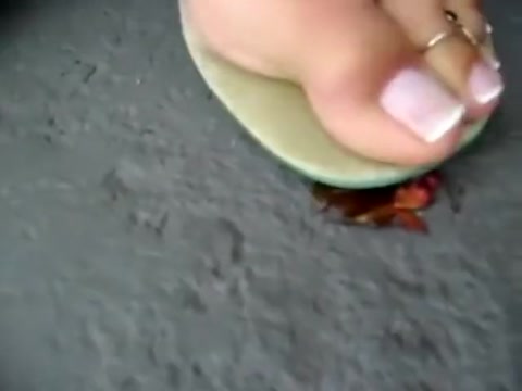 best of Flops girl flip crushes cockroach