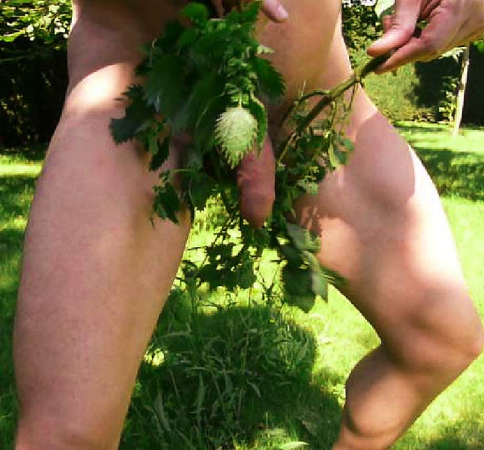 Bonbon recommendet stinging nettles femdom gardening