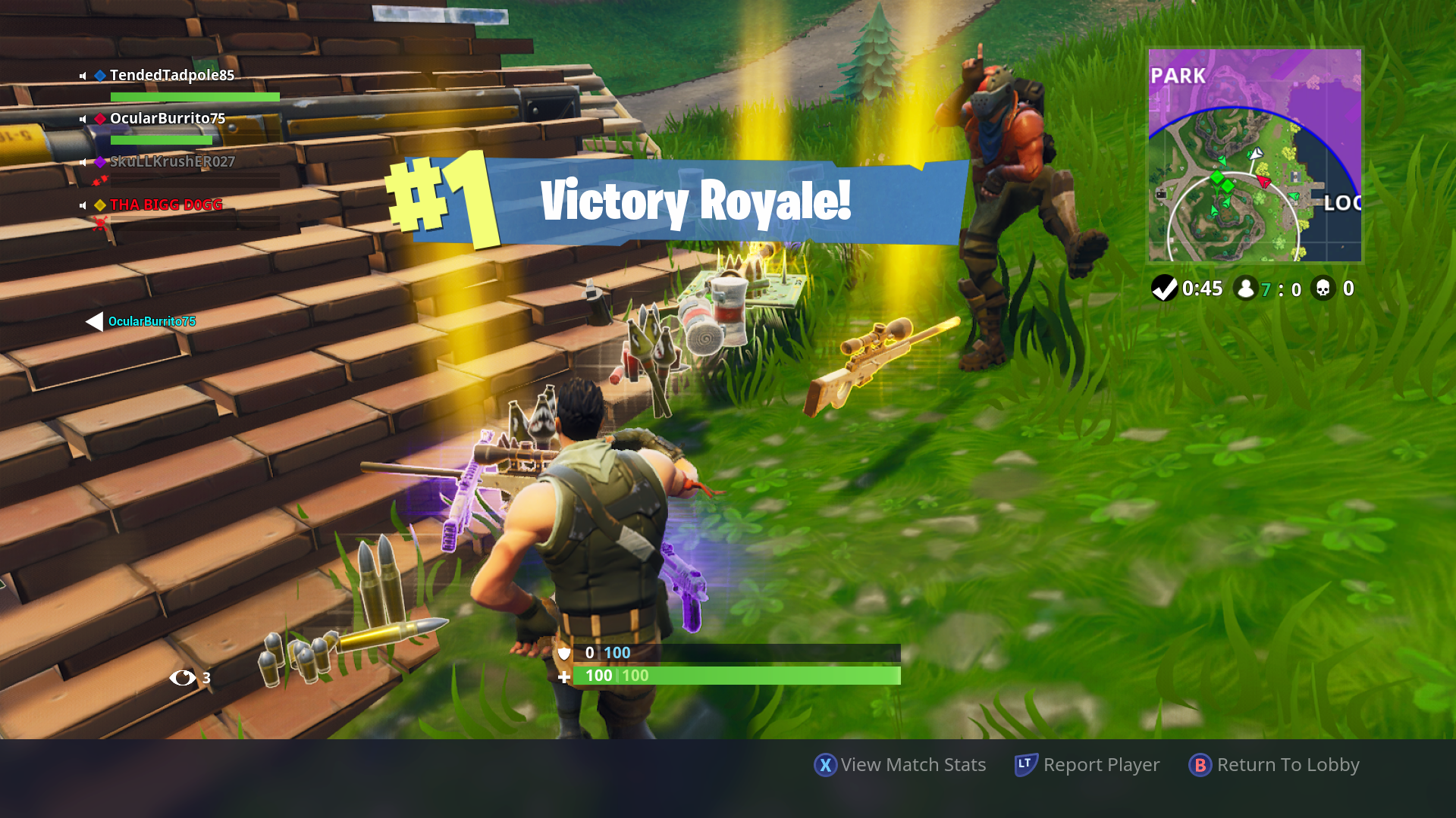 Fortnite victory royale there