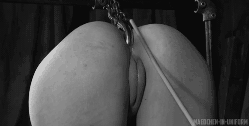 best of With slave hook training anal
