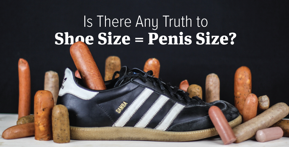 Measuring penis size study