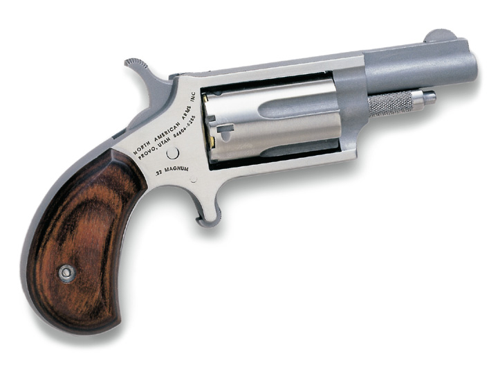 Hammerhead recommend best of naa pug magnum pocket revolver