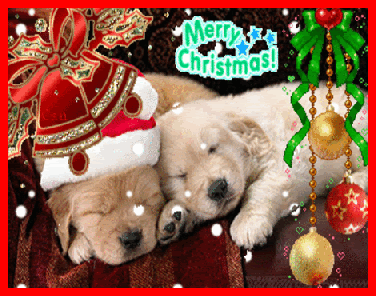 best of Everyone friends christmas merry