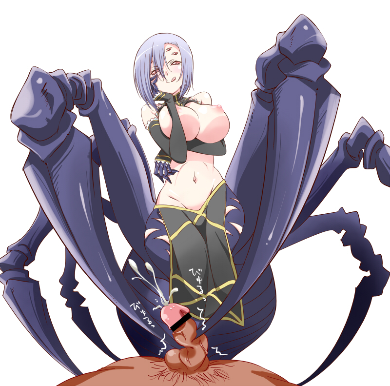 Monster musume centauria rachnera